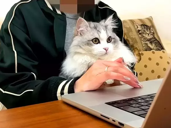家で仕事中、集まってきた３匹の猫→リモート会議を始めると…あまりにも微笑ましい光景に「お相手が羨ましすぎるｗ」「大胆なご挨拶」の声