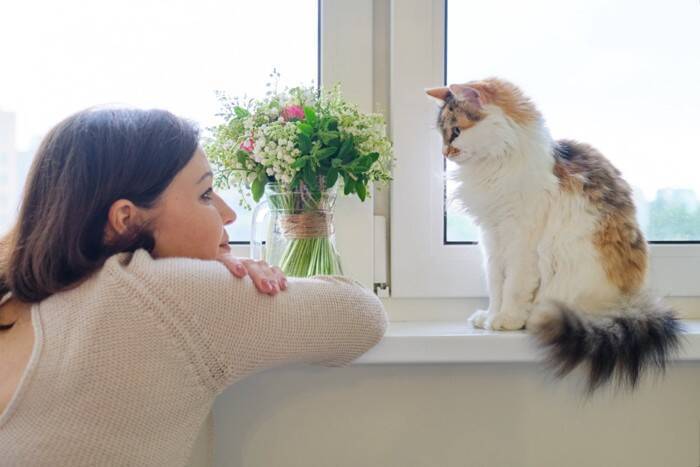 猫があなたに送っている『気づきにくい愛情サイン』5選　仕草に込められている意味や応え方のポイントまで