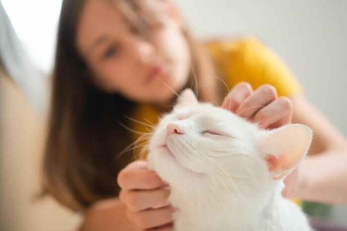 猫が絶対に触られたくない『体の部位』4選　嫌がる理由や正しいスキンシップのコツも解説