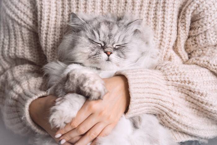 『愛猫に助けてもらった』と実感する瞬間4選　猫の存在が心の支えになるのはどんなとき？