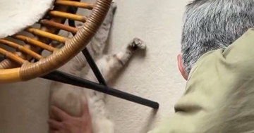 床でくつろぐ猫を撫でていたお父さん→『別の猫』がやってくると…笑ってしまう展開に「デッカい猫認定されとるなｗ」「恩返し」と15万表示