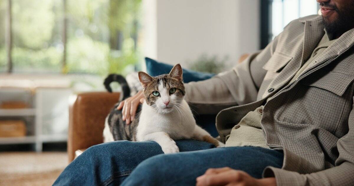 猫を『飼わないほうがいい人』に共通する特徴5選　向いていない理由や飼う前に見直すべきこと