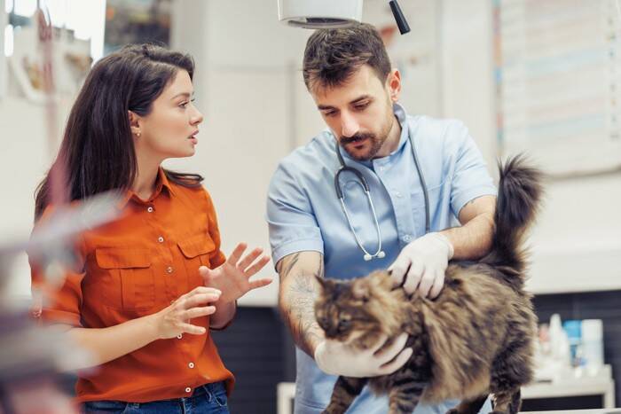 猫に現れたら『すぐ受診すべき危険な症状』6選　命に関わるケースも？放置すると危険なサインとは