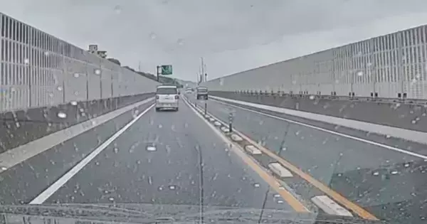 車の運転中、道路の端に『小さな子猫』を発見…驚きの瞬間と保護された『現在の様子』に感動の声「よく気が付いてくれた」「ありがとう」