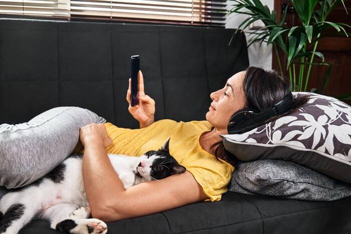 猫と『音楽』に関する豆知識5つ　 好みやすい曲調や聴かせたときのメリットもご紹介