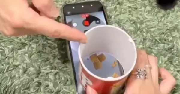 スマホの上に『おやつ』を設置→猫のことを『ドアップ』で撮ろうとした結果…予想外すぎる行動に「天才ｗｗ」「お笑いをわかってる」と爆笑の声