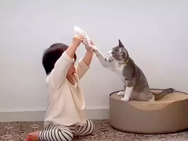 ０歳から一緒に過ごしてきた赤ちゃんと子猫→最高の相棒になり…『宝物のような光景』に「なんて尊い」「仲良しこよしが微笑ましい」と絶賛