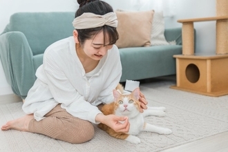 『薬が苦手な猫』に上手に飲ませる方法3つ　錠剤・粉薬・液剤…それぞれのコツとは？