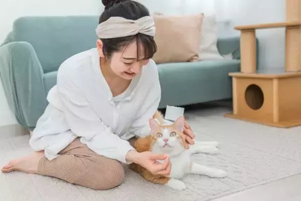 『薬が苦手な猫』に上手に飲ませる方法3つ　錠剤・粉薬・液剤…それぞれのコツとは？