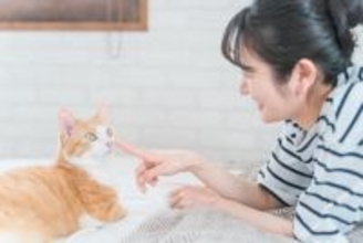 猫を飼うのに『向いていない人』の特徴4つ　お互いが不幸になってしまう可能性も…