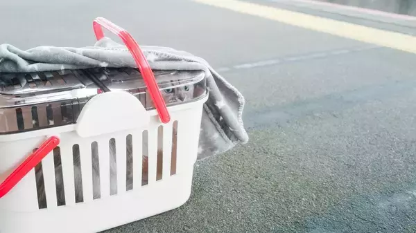 ケージに入れられたまま列車内に捨てられ、怯え切っていた子猫→出会った鉄道職員に迎えられ「第2の猫生」をスタート　英国スコットランド