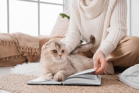 猫が『やきもち』を焼いているときのサイン5選　起こりやすいシーンや対処法まで解説