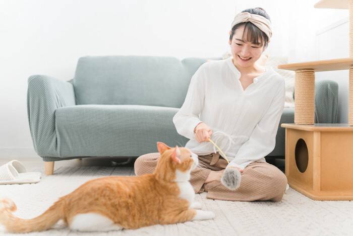 猫にとって『ティッシュ』が魅力的な理由4つ　遊びたがるのはどうして？イタズラ対策のコツも
