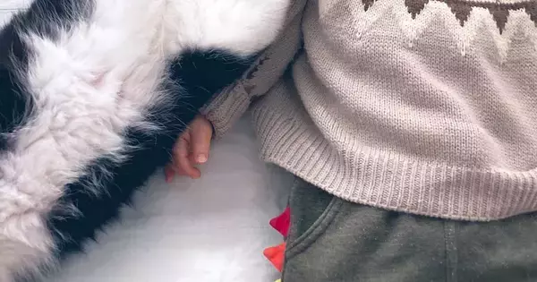 気持ちよさそうに眠っていた『赤ちゃん』→猫が『添い寝』しにきた結果…とんでもない光景に「想像していたのと違うｗ」「蹴りｗ」と４万いいね