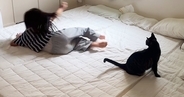女の子が仲良しな猫の前で『倒れるフリ』をした結果…直後の『尊すぎる光景』が45万再生「大好きなのが伝わってくる」「笑顔になったｗ」