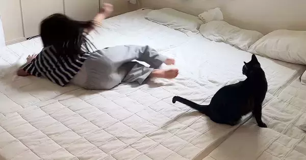 女の子が仲良しな猫の前で『倒れるフリ』をした結果…直後の『尊すぎる光景』が45万再生「大好きなのが伝わってくる」「笑顔になったｗ」