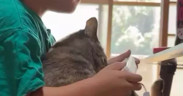 男の子の膝の上でくつろぐ猫→突然の『大きなくしゃみ』に驚いて…まさかの反応が394万再生「表情に笑ったｗ」「あかん好きすぎるｗｗ」