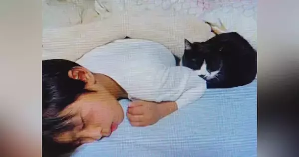 幼いころからずっと一緒の男の子と猫→出会いから20年…胸が熱くなる『成長記録』に「朝から号泣した」「家族の絆が素敵」と30万再生