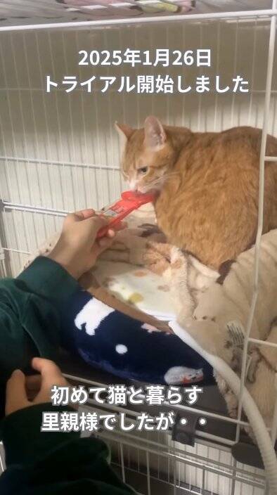 工事の騒音が響く現場に突然現れた『悲しそうな野良猫』が、約1年後…思わず泣ける『感動の瞬間』に「泣いた泣いた」「本当にありがとう」の声