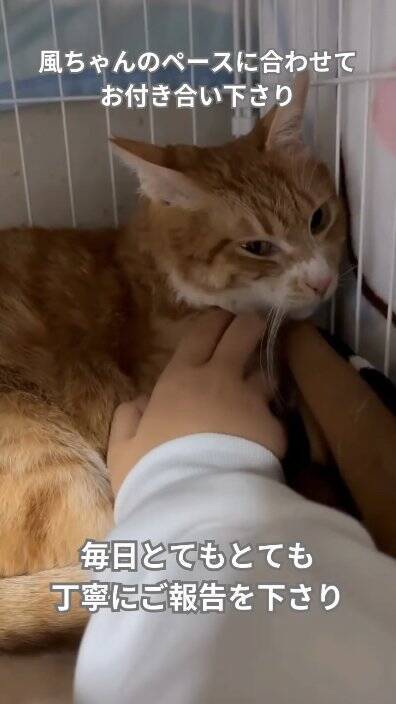 工事の騒音が響く現場に突然現れた『悲しそうな野良猫』が、約1年後…思わず泣ける『感動の瞬間』に「泣いた泣いた」「本当にありがとう」の声