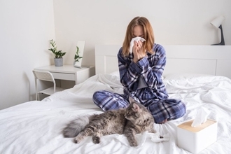 猫を『衝動飼い』すると起こりうるトラブル5つ　慎重に考えるべき理由や飼い主に必要な覚悟
