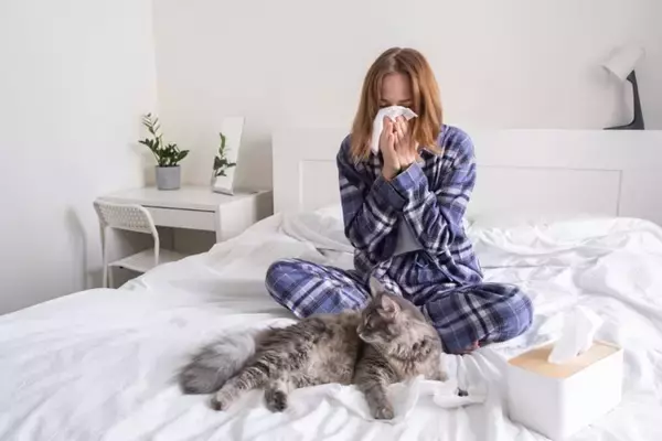 猫を『衝動飼い』すると起こりうるトラブル5つ　慎重に考えるべき理由や飼い主に必要な覚悟