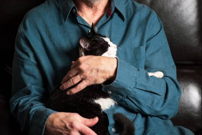 猫を『衝動飼い』すると起こりうるトラブル5つ　慎重に考えるべき理由や飼い主に必要な覚悟