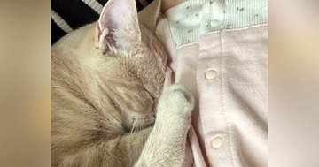 布団で寝ている赤ちゃん→すぐ横には『猫』がいて…ずっと見ていたくなる『尊い光景』に反響「めちゃめちゃ仲良しで可愛い」「癒される」