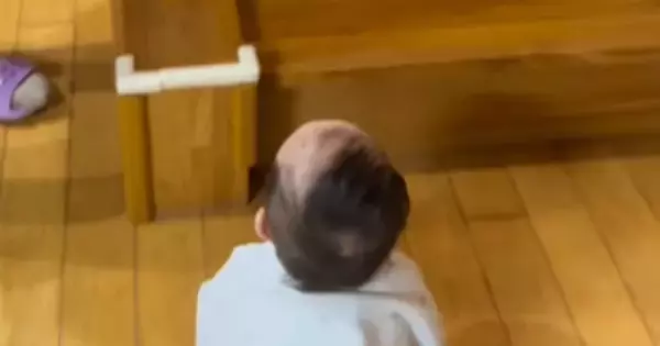 赤ちゃんが階段上にいる『大好きな猫』を見つけた結果…まさかの光景が可愛すぎると30万再生「必死さが伝わるｗ」「前世でも猫好きだったのかな」