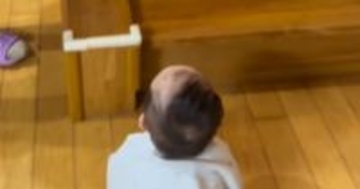 赤ちゃんが階段上にいる『大好きな猫』を見つけた結果…まさかの光景が可愛すぎると30万再生「必死さが伝わるｗ」「前世でも猫好きだったのかな」