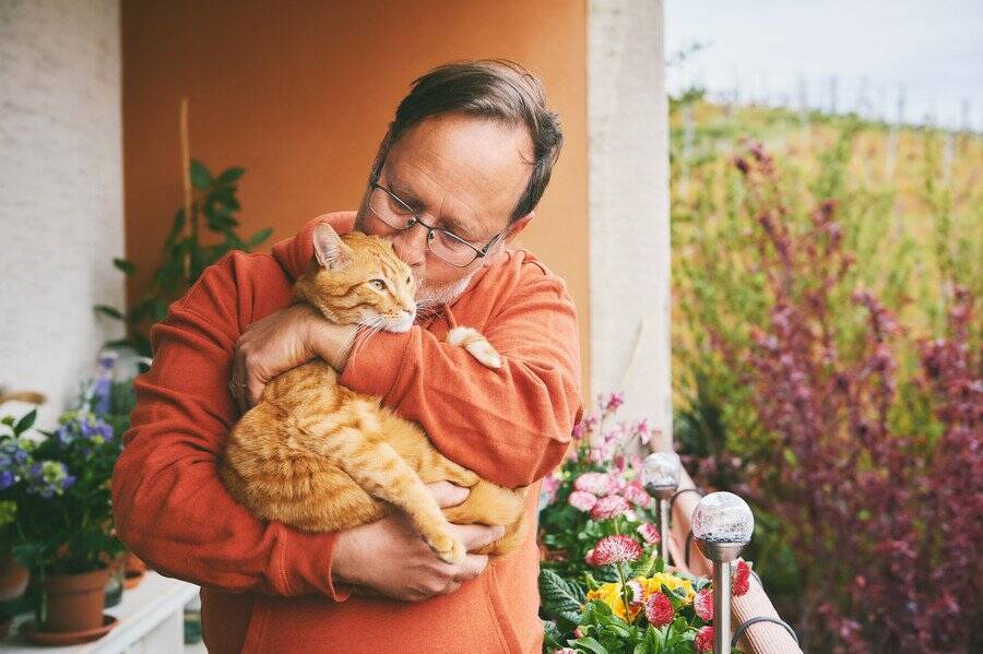 飼い主さん以外にも、近所に「しもべ」が多数…「浮気好きな猫」が多い英国の都市が判明