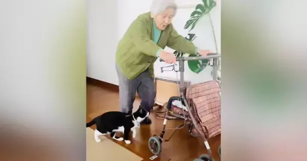94歳のおばあちゃん→カートを押していると、『猫』がやって来て…心温まる『日常の光景』が45万再生「大好きなんだね」「いいコンビ」と絶賛