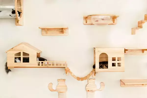 『キャットステップ』を設置するときに、気をつけたい3つのポイント　安全面や使い勝手は大事！