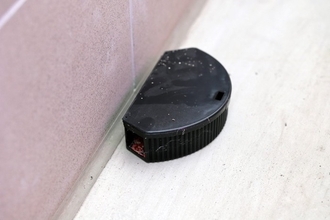 猫と暮らす家で『害虫駆除』を行うときの注意点4つ　危険なトラブルの可能性や安全に終えるためのコツ