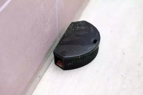 猫と暮らす家で『害虫駆除』を行うときの注意点4つ　危険なトラブルの可能性や安全に終えるためのコツ