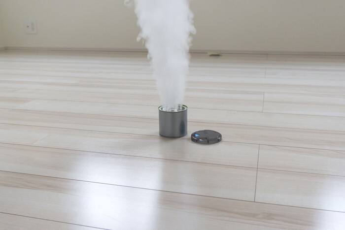 猫と暮らす家で『害虫駆除』を行うときの注意点4つ　危険なトラブルの可能性や安全に終えるためのコツ