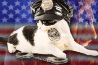 警察署に現れた猫が「巡査」に就任し、退職後は「幸せな飼い猫」に　米国