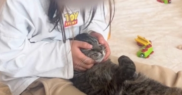 女の子の足の間にはさまる猫→優しく撫でられると…幸せあふれる『尊い光景』が40万再生「ほんとうに心が癒される」「疲れが溶けていく」