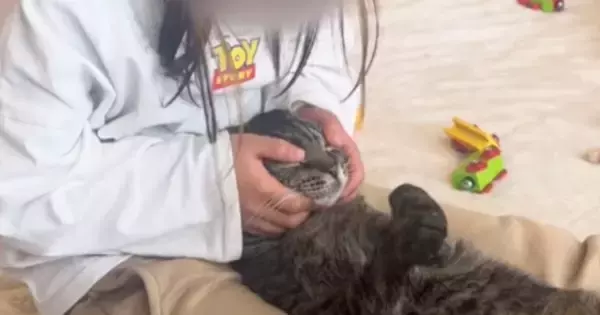 女の子の足の間にはさまる猫→優しく撫でられると…幸せあふれる『尊い光景』が40万再生「ほんとうに心が癒される」「疲れが溶けていく」
