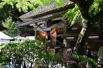 佐賀・基山町の大興善寺で12年ぶり秘仏開帳　本尊の「十一面観世音菩薩」