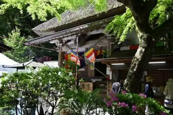 佐賀・基山町の大興善寺で12年ぶり秘仏開帳　本尊の「十一面観世音菩薩」