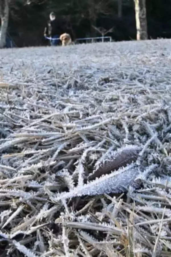 大分・日田で氷点下5.3度　今季一番の冷え込み、7地点で今季最低を記録