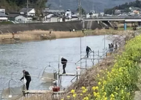 ［長崎県］早春の風物詩　佐々川シロウオ漁