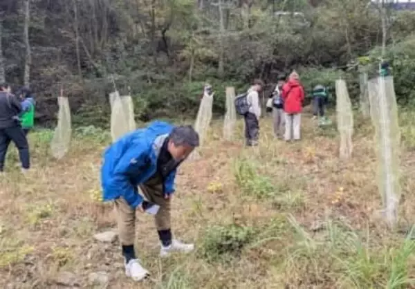 日田市の田島山業とLINEヤフー、「みんなの森」で生物多様性調査