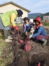 ［大分県］日田・大鶴地区30日に「秋の収穫祭」　愛情イモごはん味わって