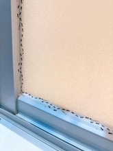「うわ！きも！！」防カビテープ代わりに貼ったマステ ⇒ 窓際をよく見ると…「ゾッとしたー！！」「嫌すぎる笑」などの声