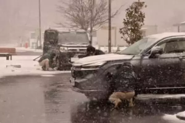 九州各地で雪、交通に乱れ　9日も広範囲で氷点下予想