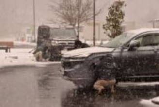 九州各地で雪、交通に乱れ　9日も広範囲で氷点下予想