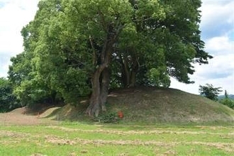 福岡・八女古墳群を国史跡に追加指定　行橋市の福原長者原官衙遺跡も、文化審議会が答申