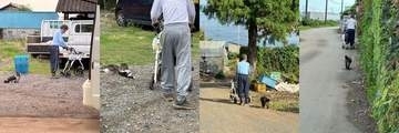 脳梗塞で麻痺が残った父 ⇒1年間〝見守り続ける愛猫〟健気な後ろ姿に「うるっときた」「尊くて泣きそう」